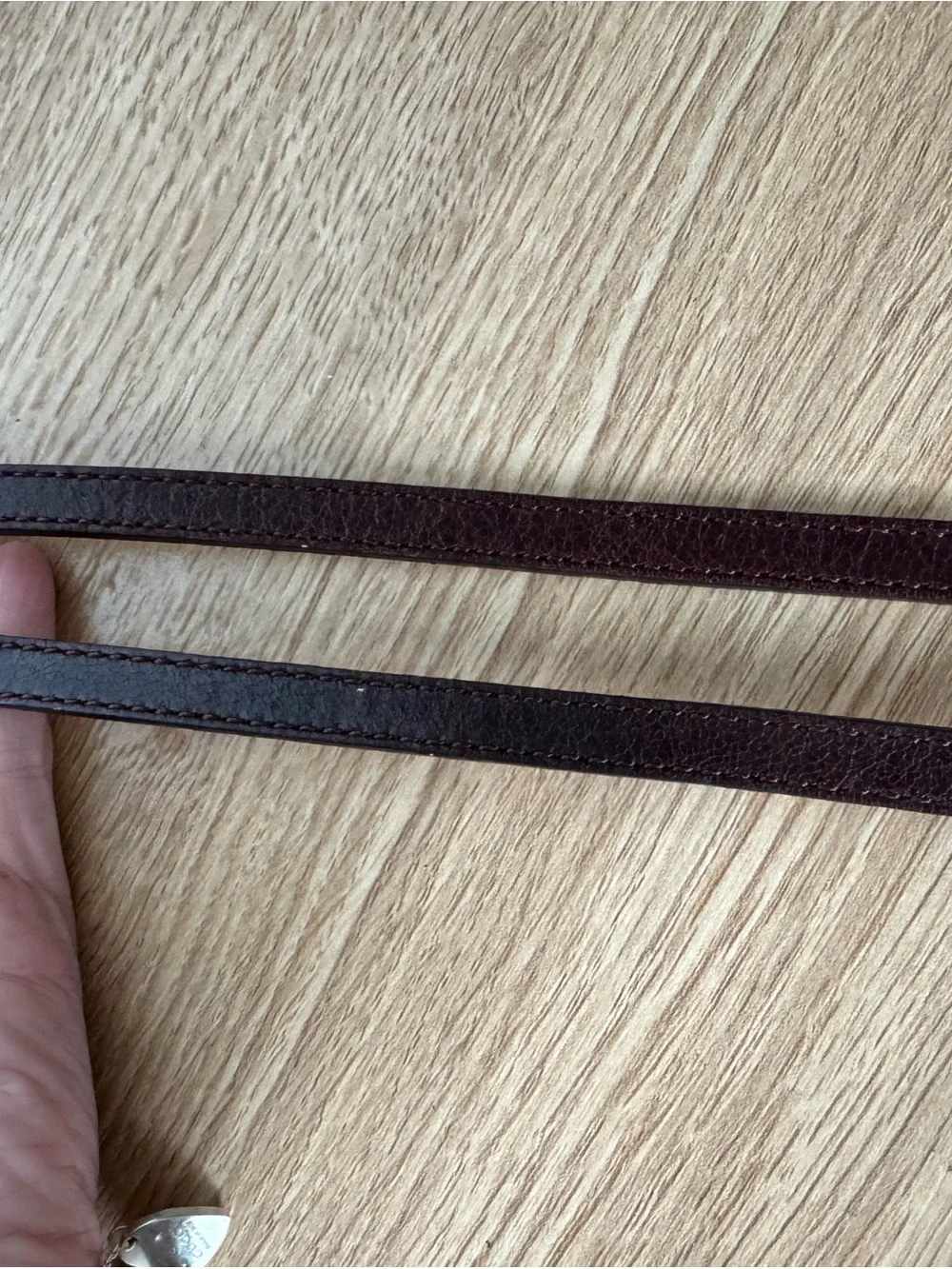 Chloé Dark Brown Leather Double-Strap Waist Belt with Gold Hardware